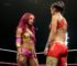 DVD Review - WWE: Bayley & Sasha Banks Iconic Matches