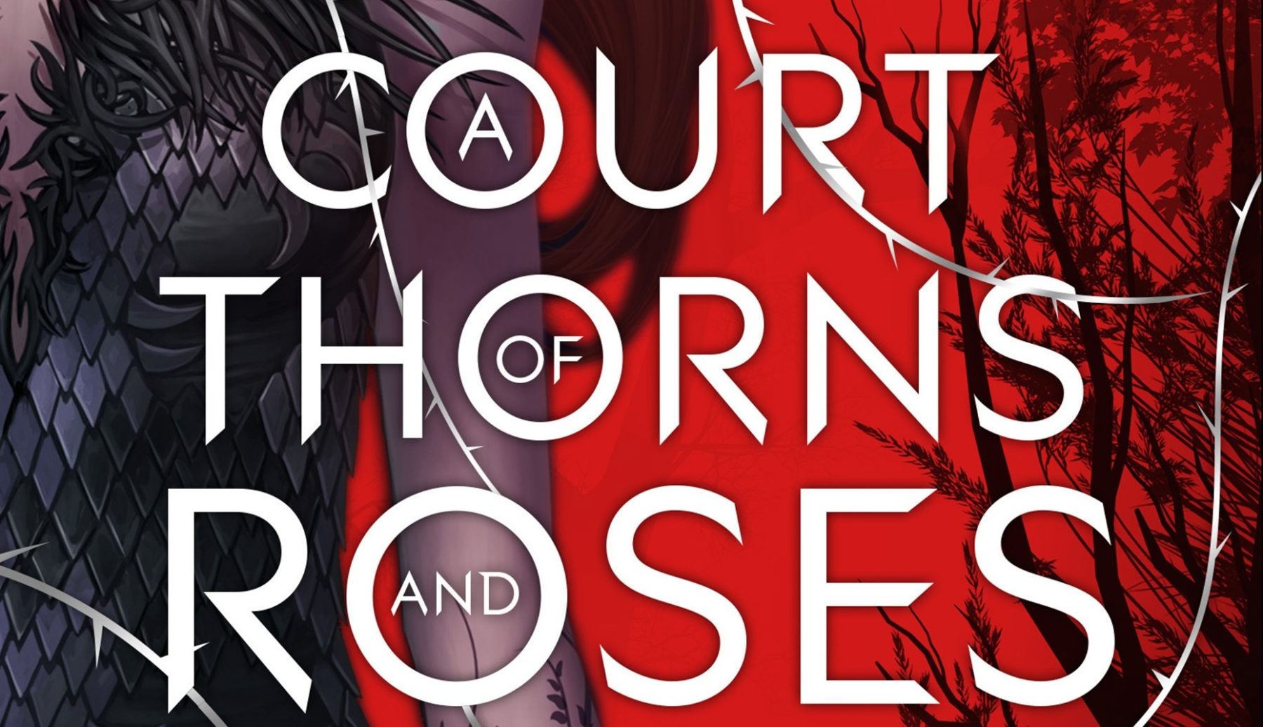 Constantin Film to adapt YA fantasy A Court of Thorns and Roses